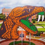 Florida A&M's Game-Changing QB Recruit: The Hidden Talent That Could Shake Up the Season