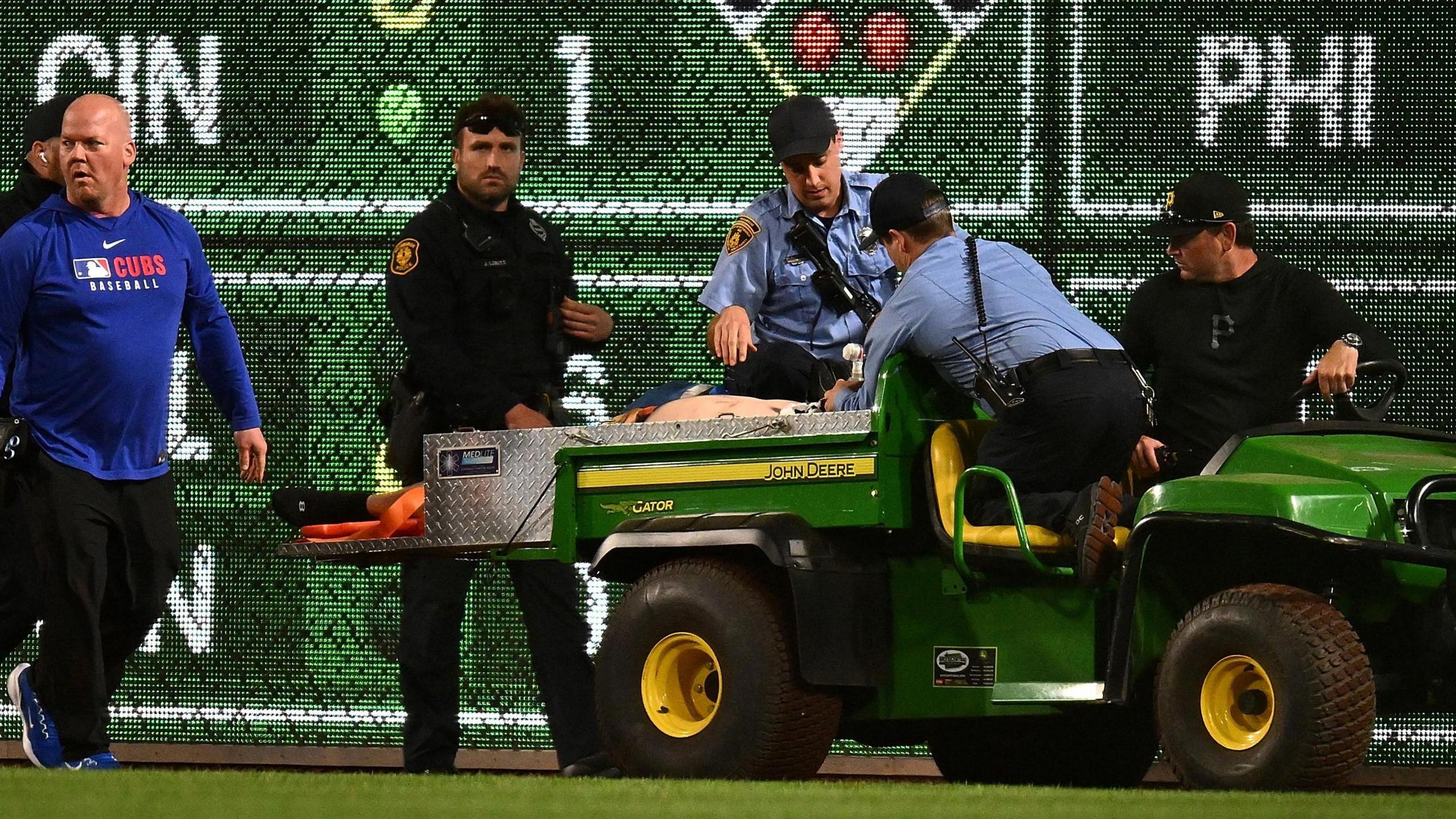 Chaos at the Ballpark: What Really Happened When a Fan Plummeted from the Stands?