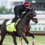 Uncover the Hidden Contenders Set to Shake Up 2025 Belmont Stakes Day at Saratoga Race Course