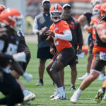 Uncover the Surprising Twists and Hidden Drama Shaping the NFL Minicamp Season