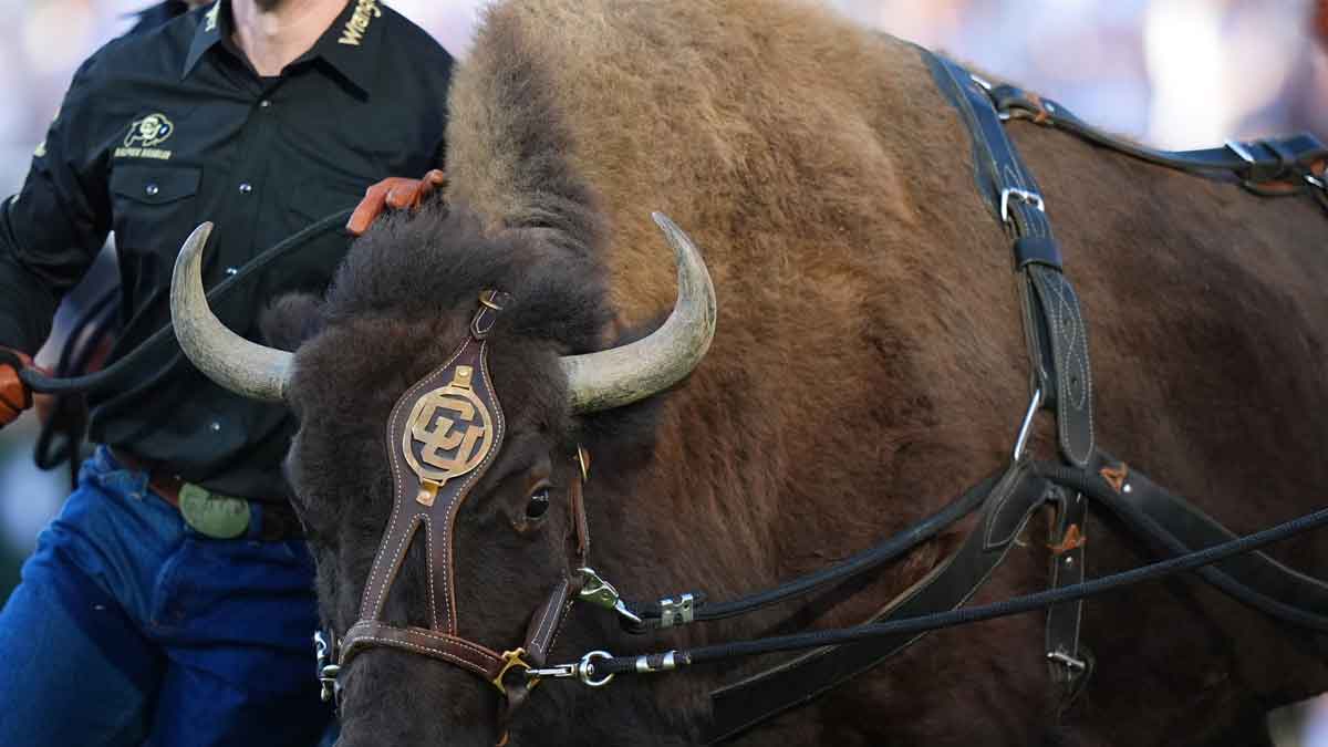 Colorado Football Star's Cancer Comeback: The Untold Story of His Battle and Return to the Field