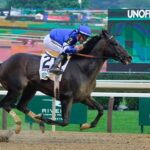 Inside the 2025 Travers Day: Dark Horses and Hidden Gems Poised to Shock Saratoga Race Course!