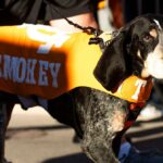 Tennessee Football Shocks Fans with Bold New Apparel Move After 10 Years