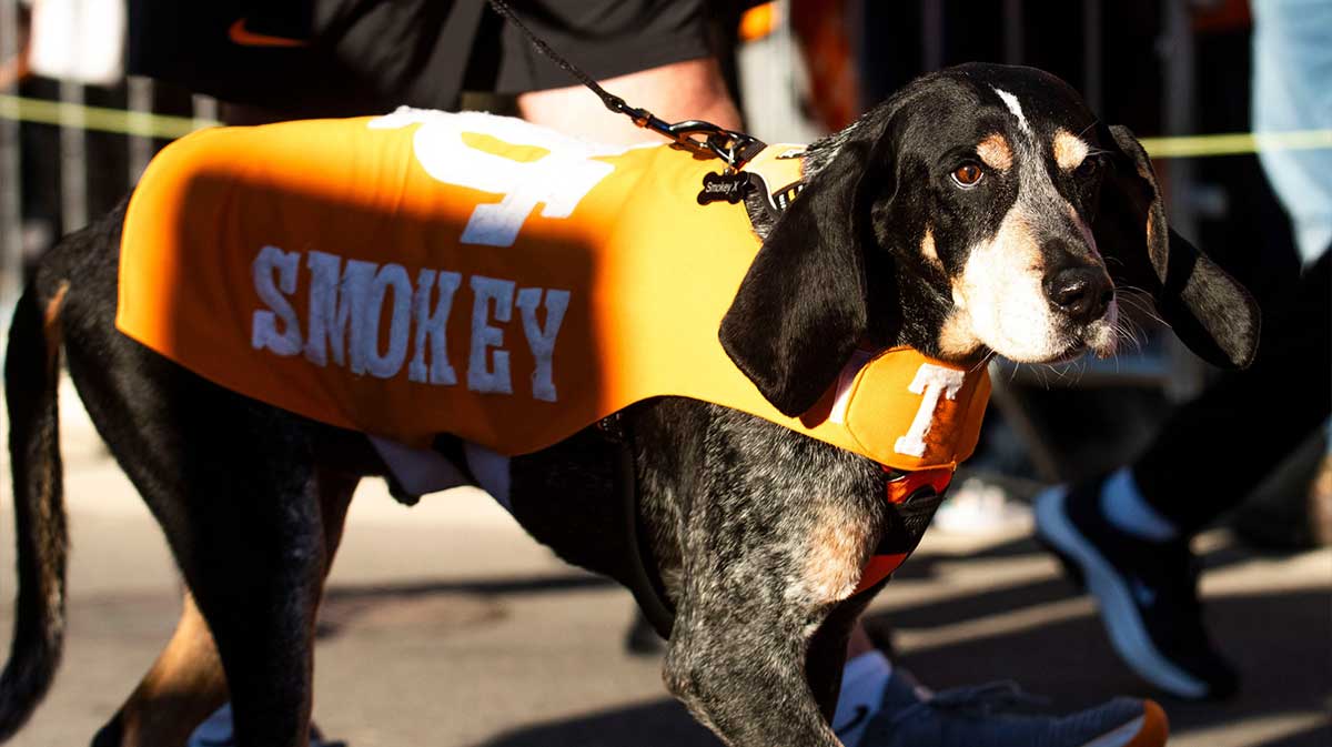 Tennessee Football Shocks Fans with Bold New Apparel Move After 10 Years