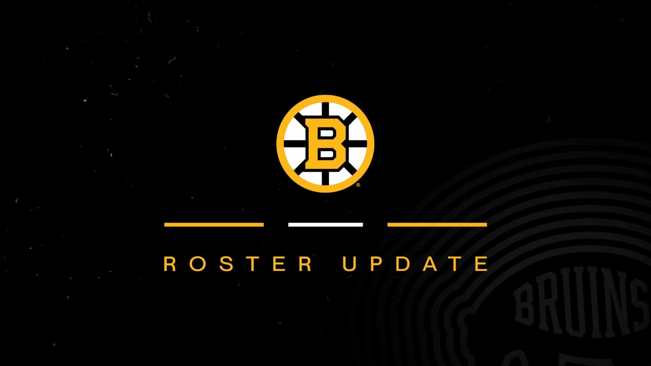 Boston Bruins Shake Up Training Camp Roster: Surprise Cuts and Rising Stars Revealed!