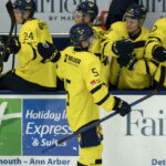 Hidden Gems Unveiled: Which U20 Stars Are Poised to Explode in the 2026 NHL Draft?