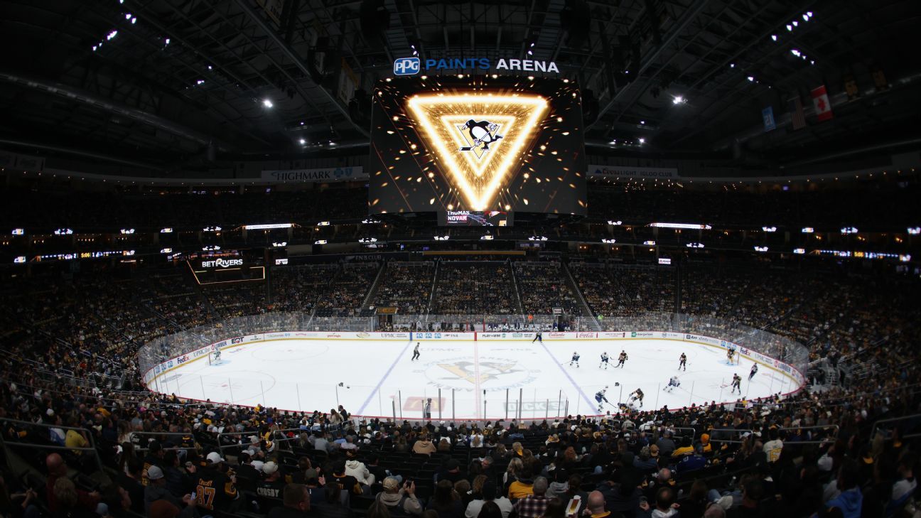Mystery Surrounds Dramatic Fall of Fan at Pens Game – What Really Happened?