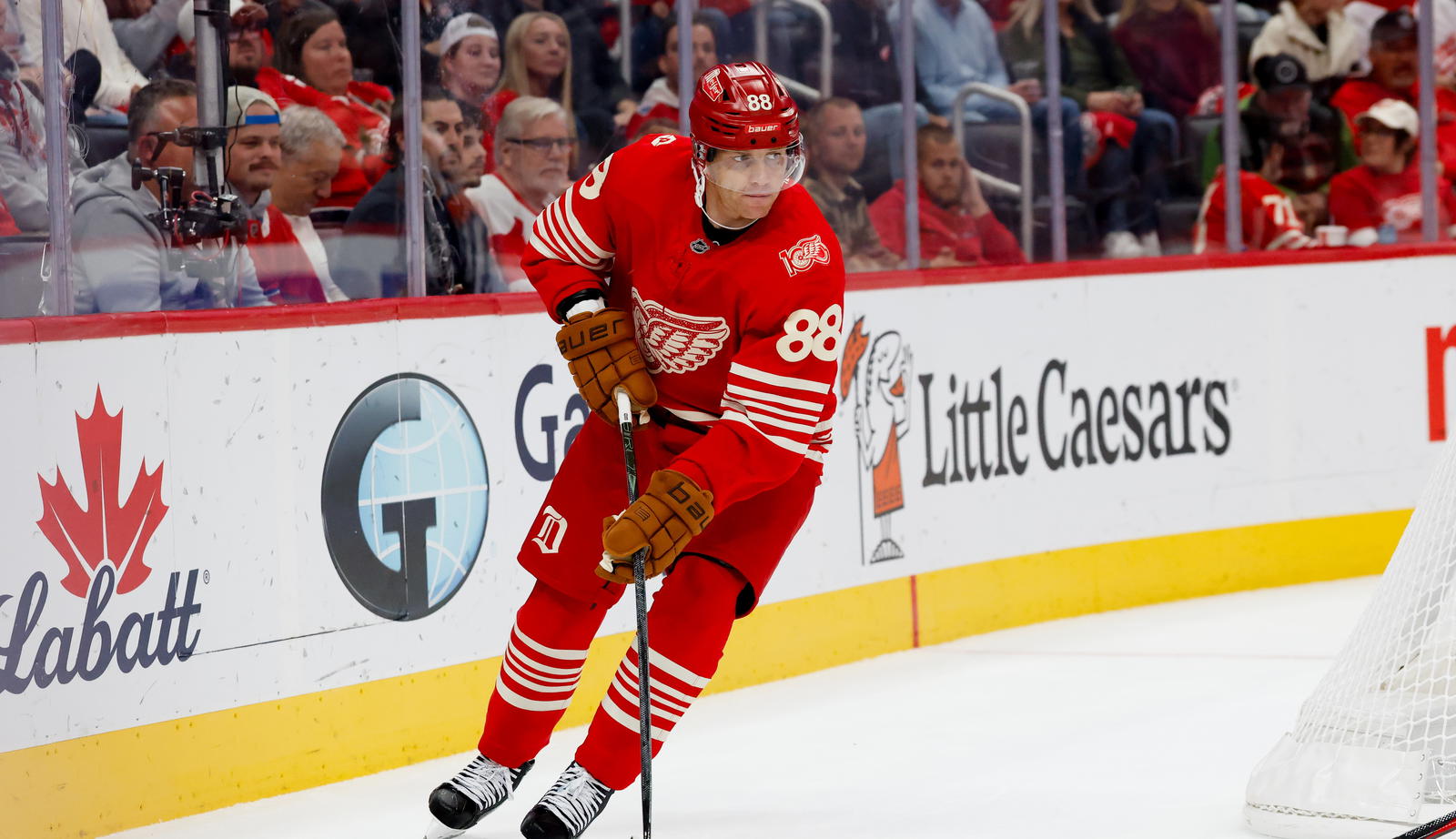 Red Wings Surge Masks Shocking Downfall of Former Top Draft Sensation