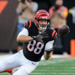 Bengals Shake Up Roster: Mike Gesicki Returns from IR While Cam Taylor-Britt’s Future Hangs in the Balance