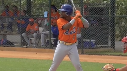 Could Mets’ Elian Peña Be the Next Big MLB Sensation in 2026?