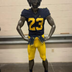 How Michigan’s Iconic Identity Survives the Rising Tide of Jersey Branding Wars