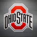 Ohio State Transfer Portal Explodes: Which Surprising Stars Are On The Move?