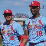 The St. Louis Cardinal at a Crossroads in 2026: Who Faces the Ultimate Rise or Fall?