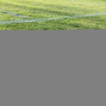 Louisville Kings 2026 Season Kicks Off: Unveiling Shocking Roster Changes and Game-Changing Schedule!