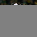 Shocking Turn: USC Snatches Elite OT Drew Fielder Away from Oregon at the Last Second