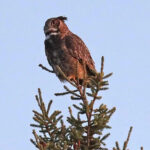 Uncovering Secrets: What Happened on 4/21/26 That No One Saw Coming