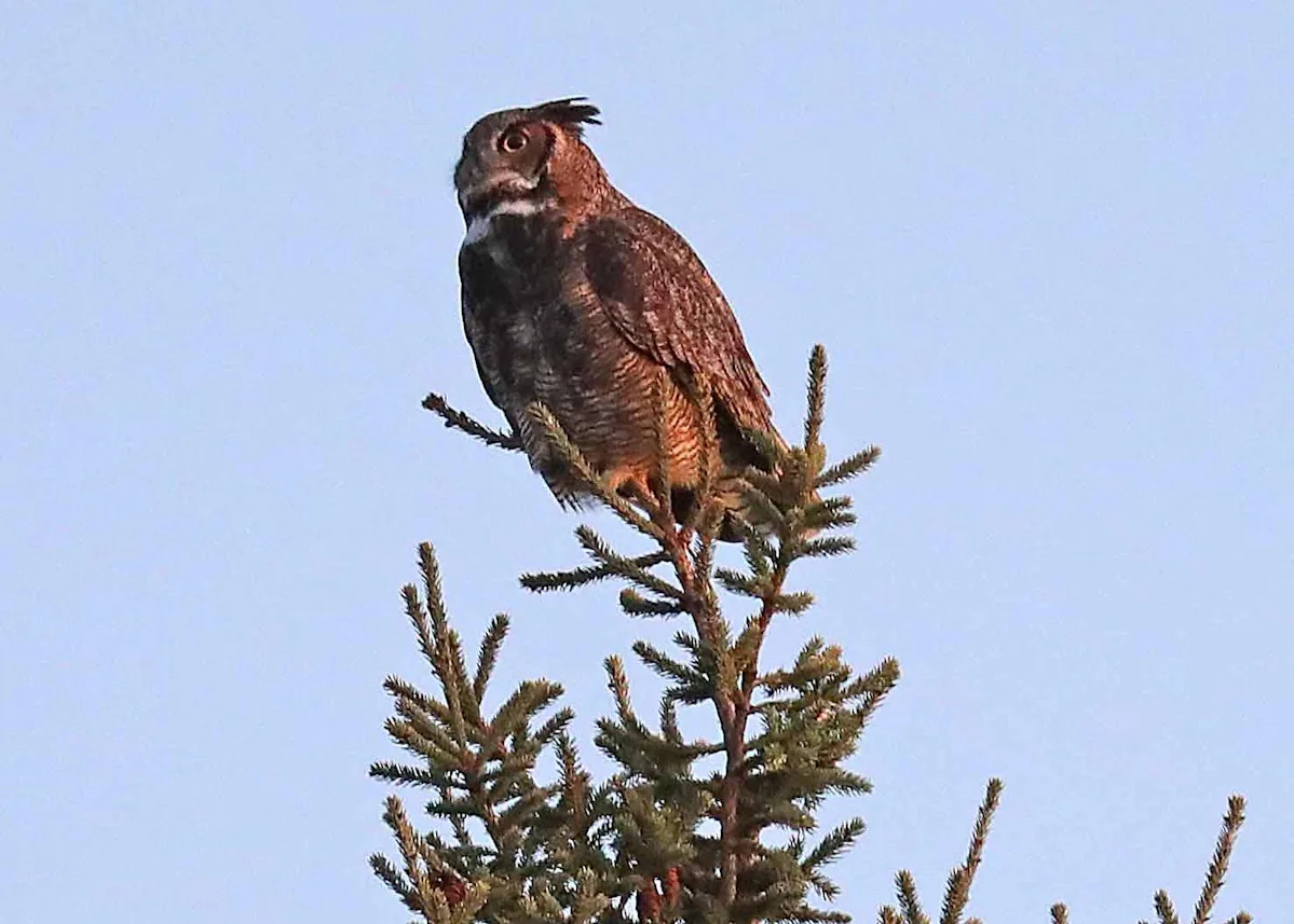 Uncovering Secrets: What Happened on 4/21/26 That No One Saw Coming