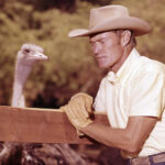 Unveiling the Untold Secrets Behind the Chicago Cubs' Legendary Journey