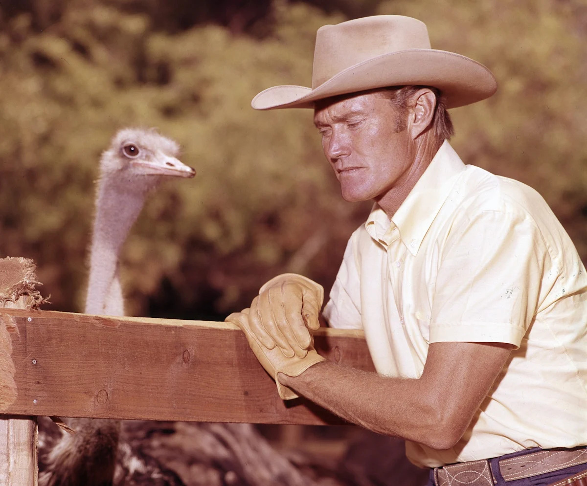 Unveiling the Untold Secrets Behind the Chicago Cubs' Legendary Journey