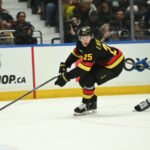 Could Elias Pettersson Become the Surprising Solution in a Struggling Free Agent Center Market?